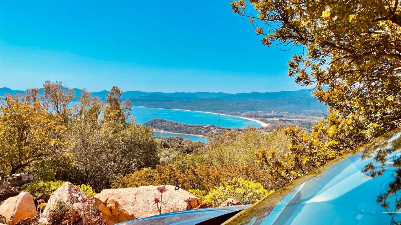 Villa Bouganville Àrbatax Dış mekan fotoğraf